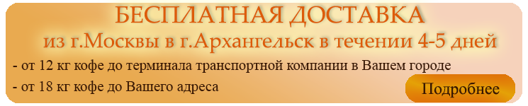 Архангельск Каталог Интернет Магазинов